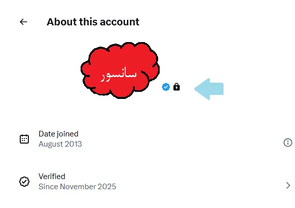 اکانتهای تیک ابی و خصوصی در About-this-account